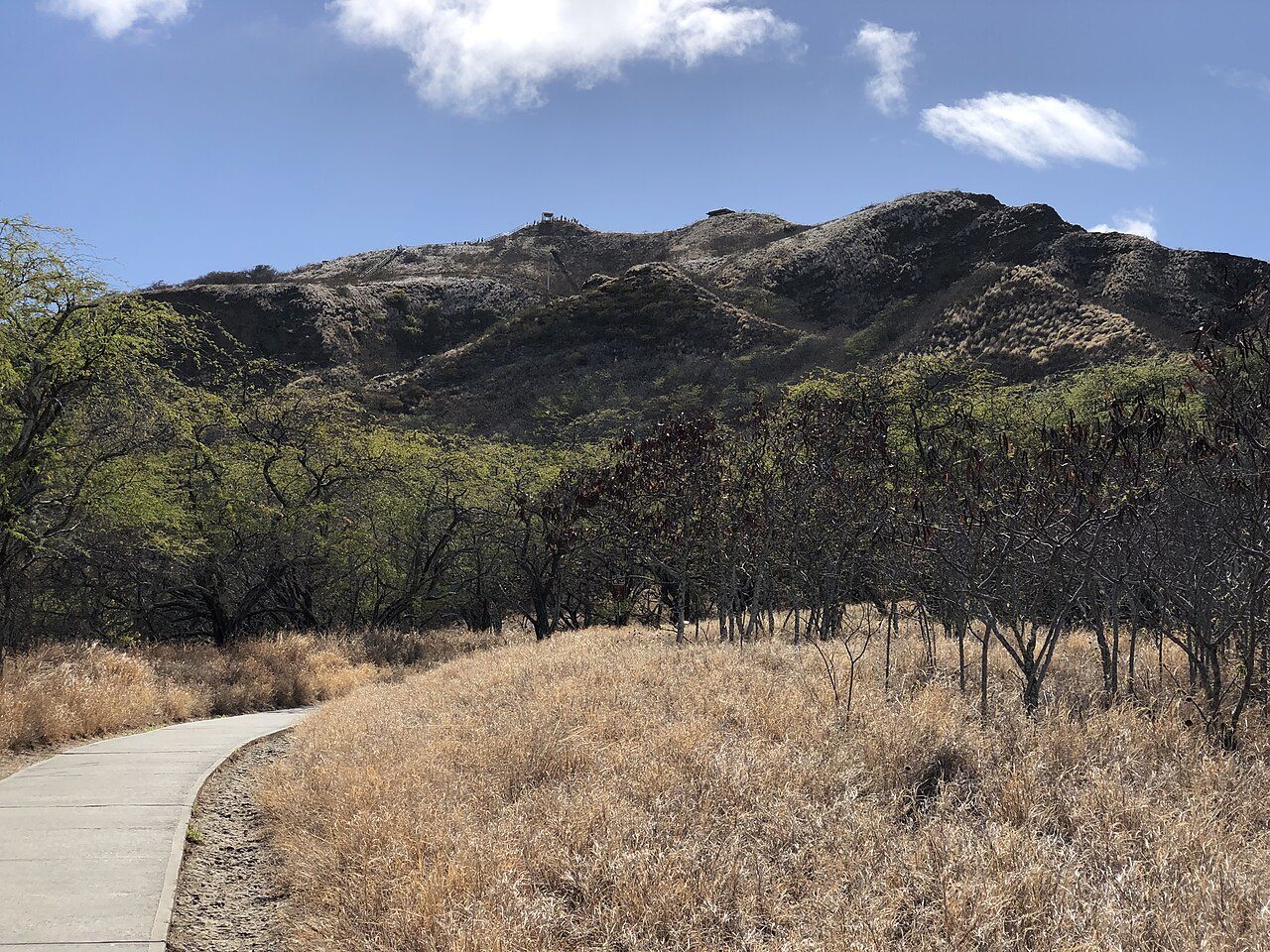View southwest along the Diamond Head Trail as it approaches Diamond Head within Diamond Head State Monument in Honolulu, Oahu, Hawaii