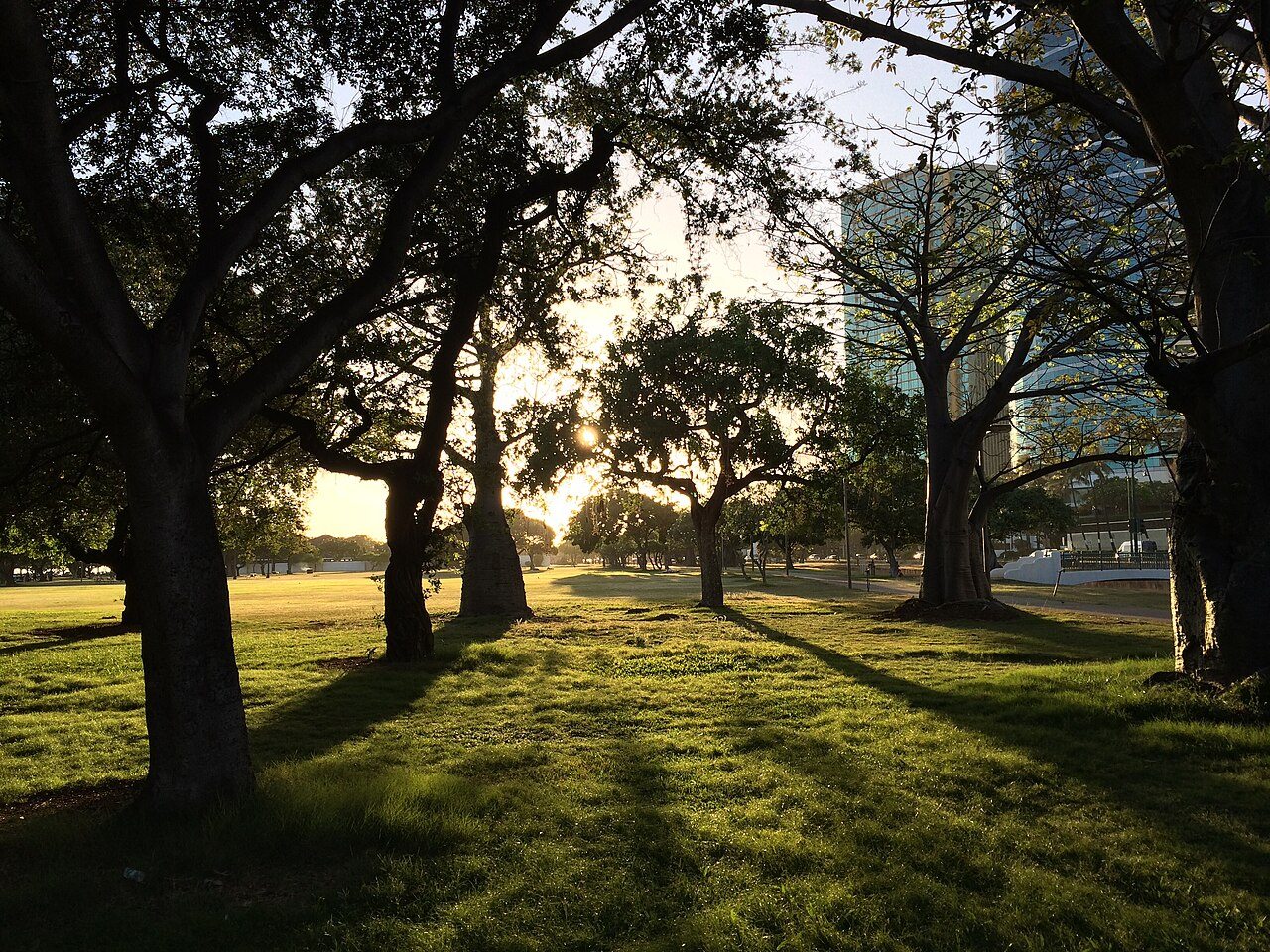 Afternoon in the park at Ala Moana. (14361615636).jpg