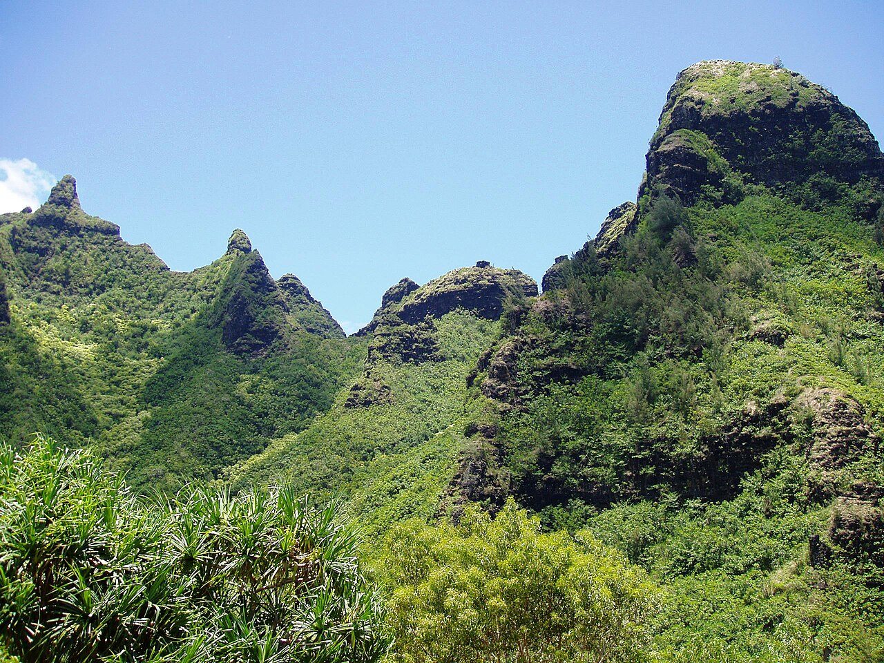 Makana Mountain ridge from Limahuli Garden and Preserve, Kauai, Hawaii.JPG