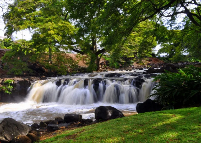 Liliʻuokalani Botanical Garden — official source image